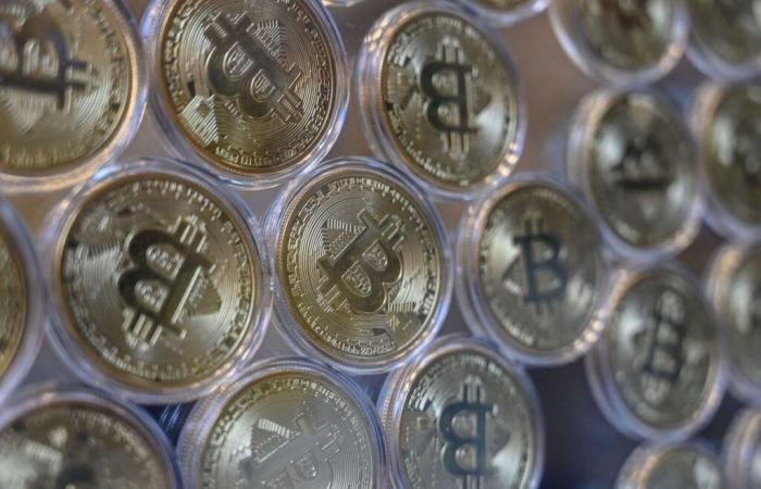 Trump-Sieg: Bitcoin-Rekord über 75.000 US-Dollar