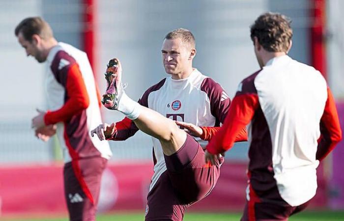 Palhinha: Der Mann fürs Grobe im Maschinenraum beim FC Bayern