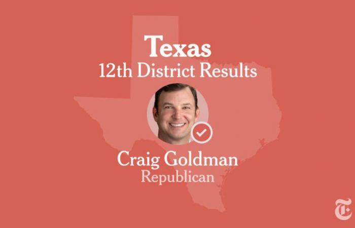 Ergebnisse der Wahlen zum 12. Kongressbezirk in Texas 2024: Hunt vs. Goldman