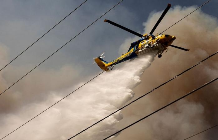 Los Angeles | Ein Feuer breitet sich schnell aus