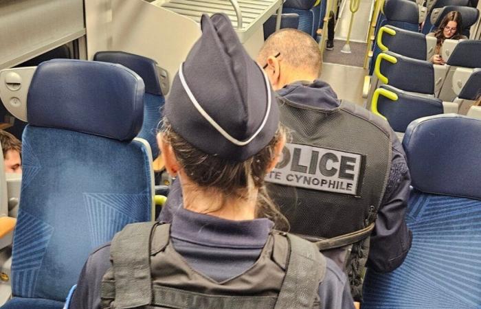 Tarn. Im Zug flieht er, als er die Polizei sieht: Wir verstehen, warum …