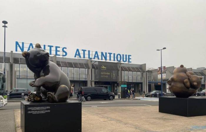 Am Flughafen Nantes kündigen drei riesige Bärenjunge die Ausstellung von Michel Bassompierre in Vertou an