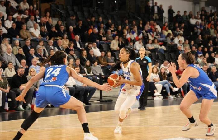 IN BILDERN. Basketball. Im eroberten Sportpalast von Caen hat Frankreich kein Mitleid mit Israel