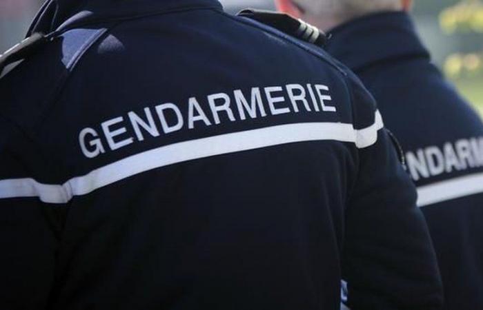 Die Gendarmen reagierten mit Schlägen und Beleidigungen, als sie versuchten, einen gewalttätigen häuslichen Streit in Aveyron zu beenden