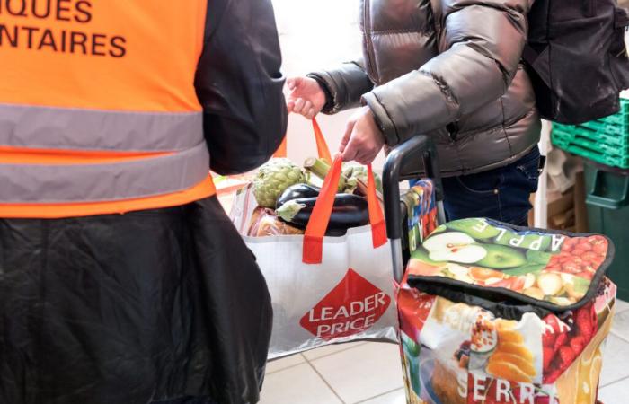 Die Gironde Food Bank braucht Freiwillige!