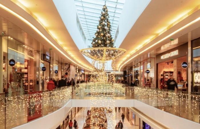 Das Goldene Vlies ist mit Zauber geschmückt: Einweihung der Weihnachtsdekoration am 27. November