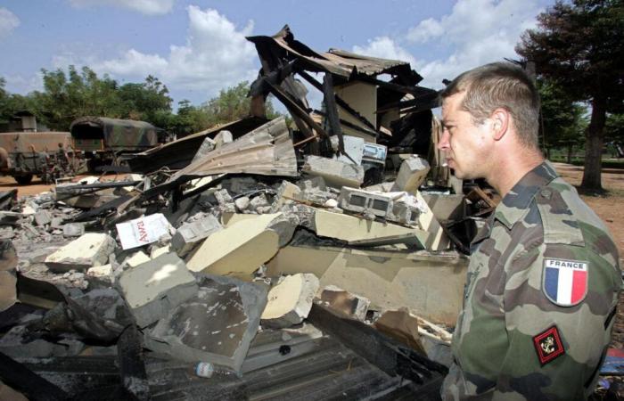 Zwanzig Jahre nach der Bombardierung von Bouaké und in diesen wenigen Tagen, als Frankreich und die Elfenbeinküste kurz vor einem Krieg standen, führen zwei Journalisten ihre Recherchen durch