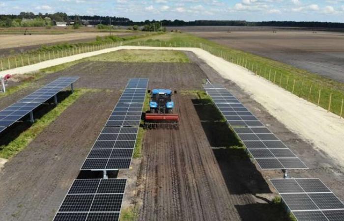 Die solare Landwirtschaft hat in Losse Fuß gefasst