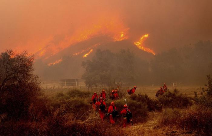 Großbrand in Kalifornien | Mehr als hundert Häuser in der Nähe von Los Angeles zerstört