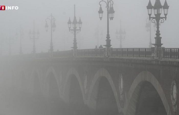 „In Mulhouse haben wir das seit 1988 nicht mehr gesehen“: Warum gibt es diesen Herbst in Frankreich so viel Nebel?