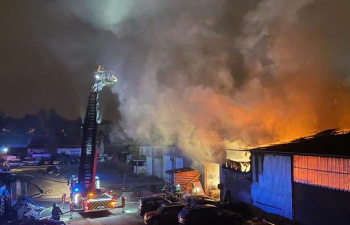 Colmar. Ein heftiger Brand verwüstet eine 2000 m² große Lagerhalle