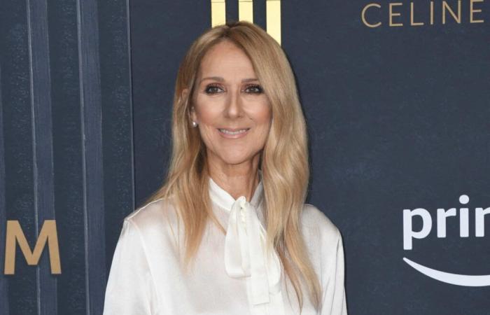 „Star Academy“: Céline Dion selbst gibt den Tod eines symbolträchtigen Mitglieds bekannt