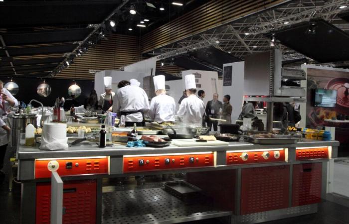 Hirsche im Rampenlicht beim nächsten Bocuse d’Or