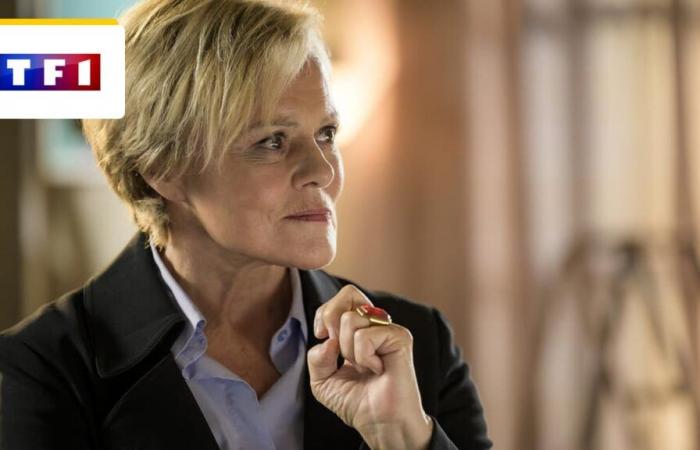 Master Crimes auf TF1: Wird die Serie mit Muriel Robin eine dritte Staffel haben? – Nachrichtenserie im Fernsehen