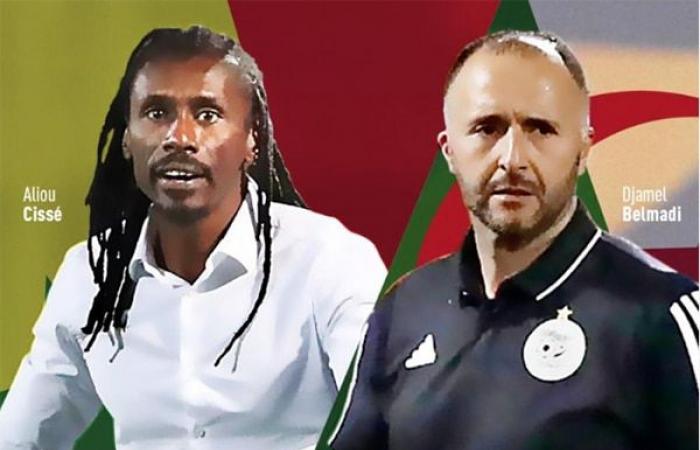 Auf der Bank – Algerien-Senegal: Djamel Belmadi-Aliou Cissé, zwei arbeitslose XXL-Trainer – Lequotidien