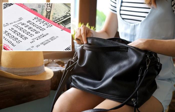 Frau aus Illinois findet Lottoschein im Wert von 1 Million US-Dollar in ihrer Handtasche