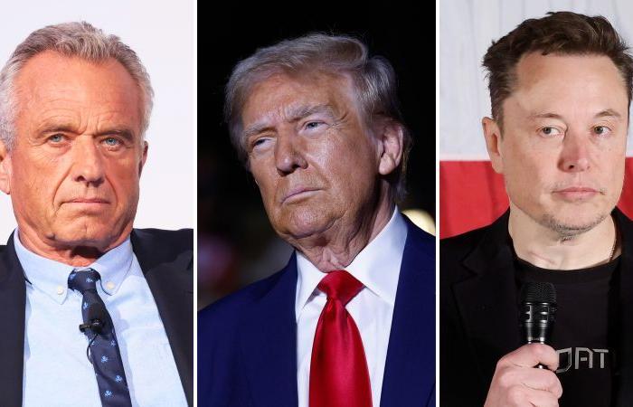 Trumps Plan, die Regierung mit RFK Jr. und Elon Musk radikal umzugestalten