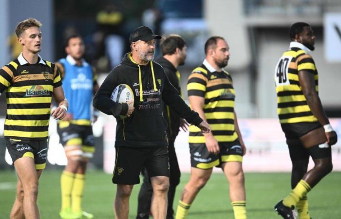 Pro D2 – Stéphane Prosper (Stade Monois): „Stade Monois ist ein krankes Biest, das schnell behandelt werden muss“