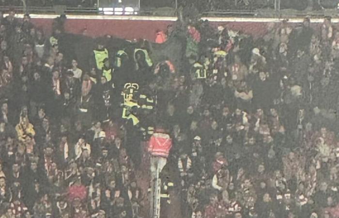 FC Bayern: Herzinfarkt in der Allianz Arena! Fan stirbt bei Sieg gegen Benfica Lissabon | Sport