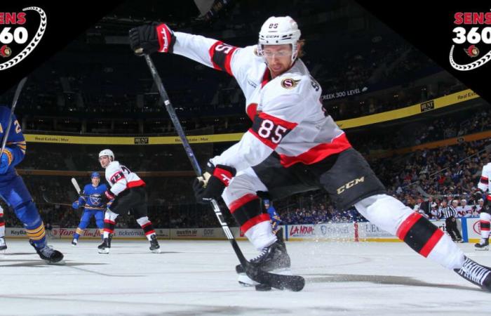 Vorschau: Spiel am 7. November – Senators vs. Inselbewohner