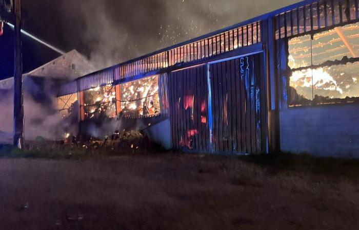 Brand auf einem 1.000 m² großen Bauernhof in Côte-d’Or, Intervention noch im Gange