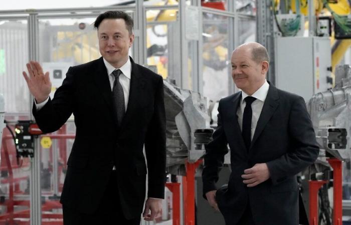 In einem Post auf Deutsch: Musk beleidigt Scholz als “Narr”