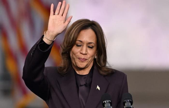 Welche Zukunft hat die Demokratische Partei nach dem Scheitern von Kamala Harris?