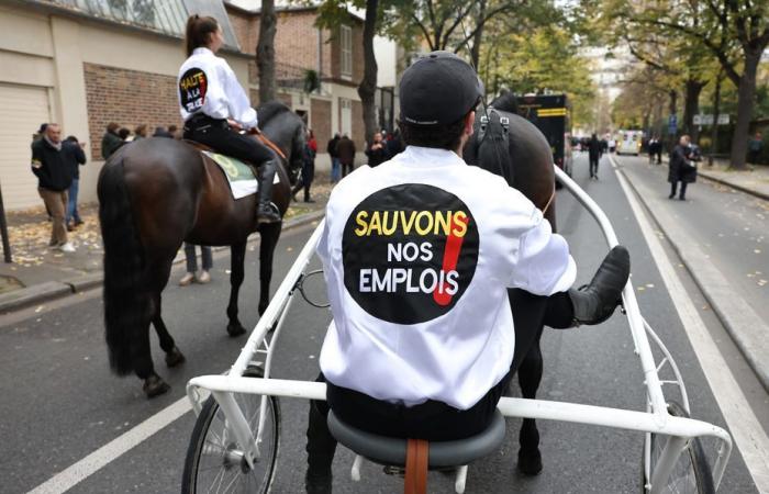 Schließung der Rennbahnen, Demonstration in Paris, die „Überlebensreaktion“ der Welt des Pferderennsports