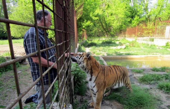 ehemaliger Besitzer wegen Tierquälerei verurteilt