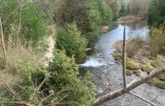 Schrecklicher Unfall in Hérault: Er durchbricht die Leitplanke der A75, fällt auf die Hauptstraße, überschlägt sich und landet im Fluss