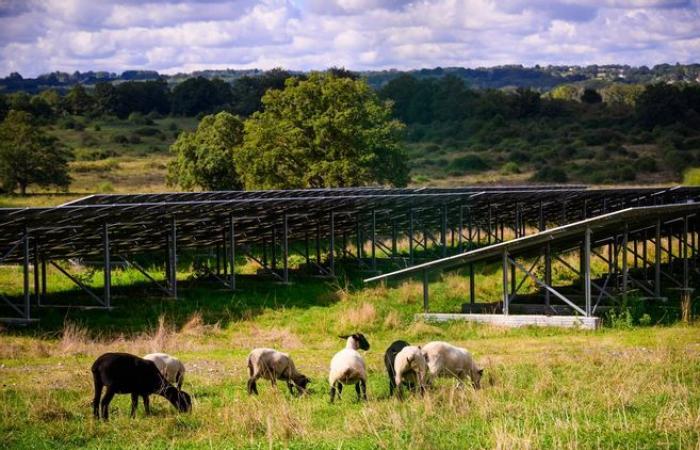 Zuteilung landwirtschaftlicher Flächen: Diese drei Fälle erschüttern die Landschaft in Corrèze