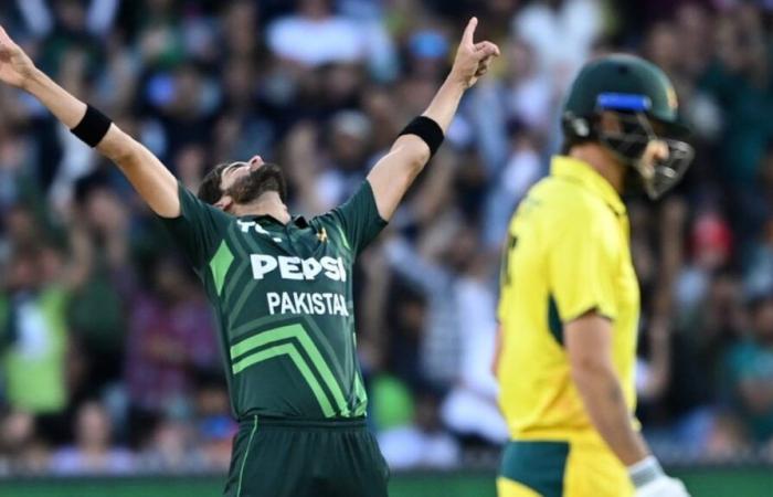 Australien gegen Pakistan 2. ODI, Live-Ergebnis: Haris Rauf schickt Marnus Labuschagne in Adelaide zurück | AUS