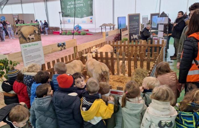 In Bildern: Ferme de Côte-d’Or öffnet seine Türen auf der Dijon Gastronomic Fair