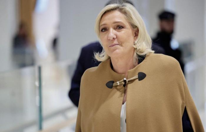 Nach Trumps Sieg sind Marine Le Pen und Jordan Bardella zurückhaltend, ihre Truppen jubeln