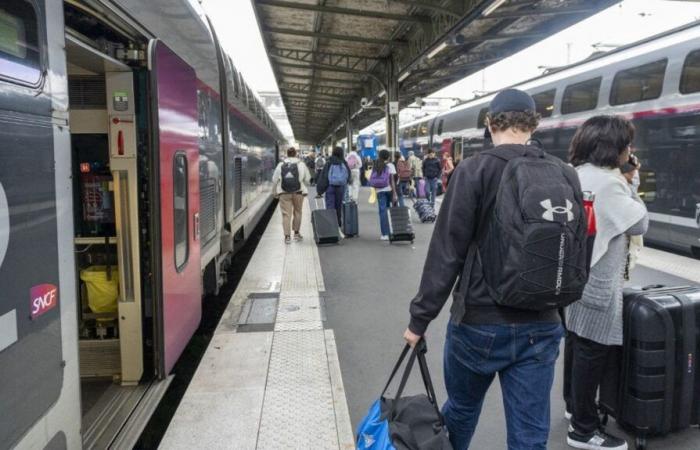 Reisezeit, unversorgte Städte, Renovierungsarbeiten … Was Reisende auf der TGV-Linie Paris-Lyon am Wochenende des 11. November erwartet