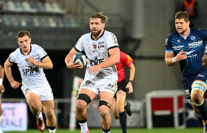 Transfers / Top 14 – Midol Exclusive. Toulon: Ziel Perpignan für Le Corvec