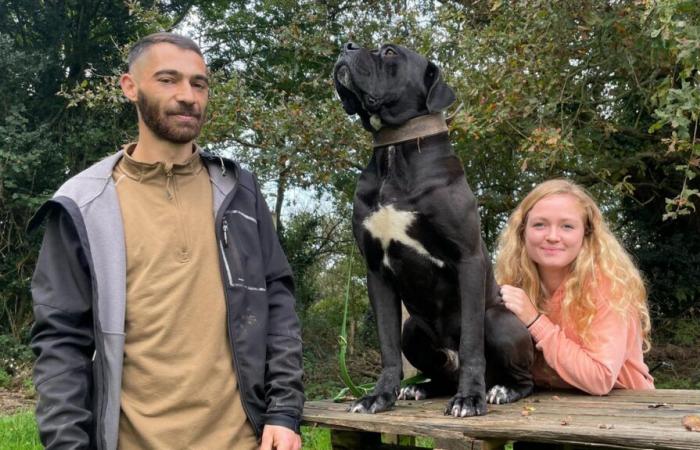 Sie haben für ihre Leidenschaft für Hunde alles aufgegeben