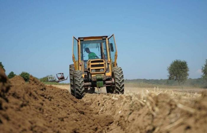 Er hatte den Unfall seiner Diebe verursacht, indem er sie verfolgte, ein verurteilter Bauer