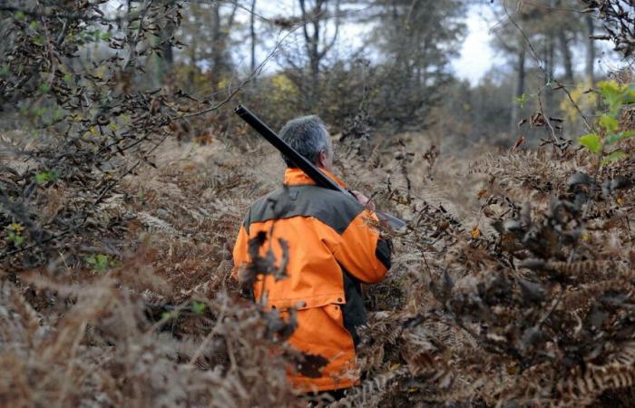 „Ich dachte, ich wäre auf eine Mine getreten“: ein Spaziergänger, der nach einem Jagdunfall im Var amputiert wurde