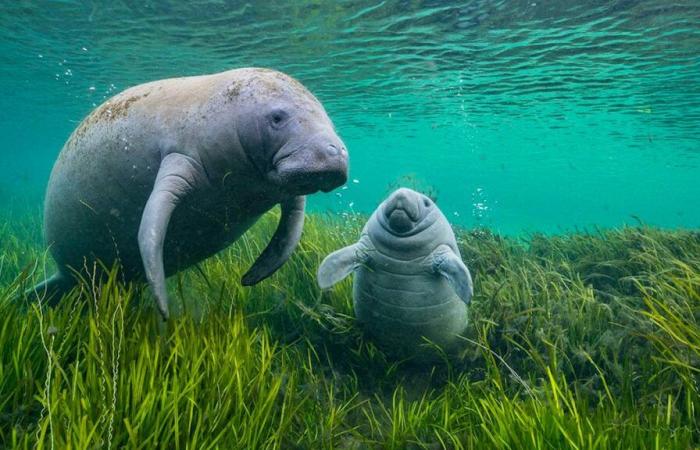 Die schönsten Tierfotos in Basel