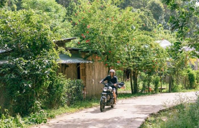 „Heilungsplatz“ in Quang Nam lockt Touristen zum Campen, um dem Staub zu entfliehen und Wolken zu jagen – Vietnam.vn