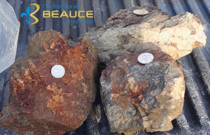 Champs D’Or En Beauce entdeckt neue mineralisierte Aufschlüsse, die mit der Antiformstruktur „Saddle Reef“ übereinstimmen