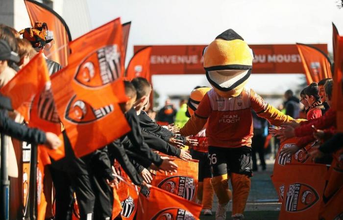 Lorient – ​​Guingamp: Auf dem Weg zum ersten ausverkauften Spiel der Fußballsaison