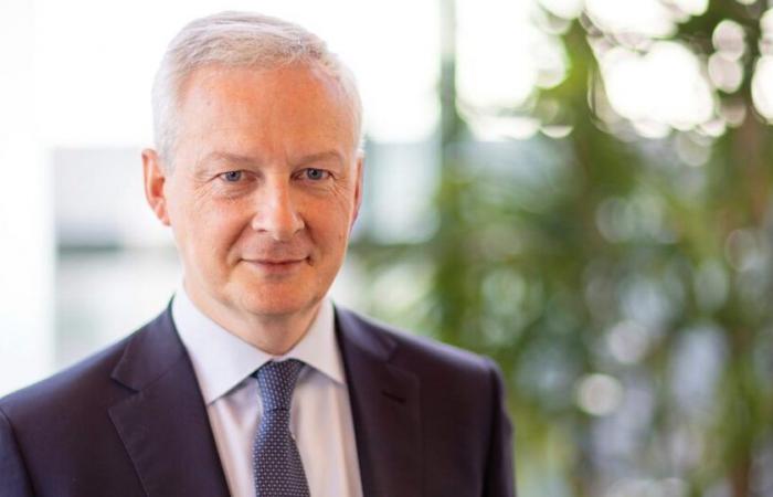 Bruno Le Maire wird vor dem Senat angehört und will „den Abszess beseitigen“