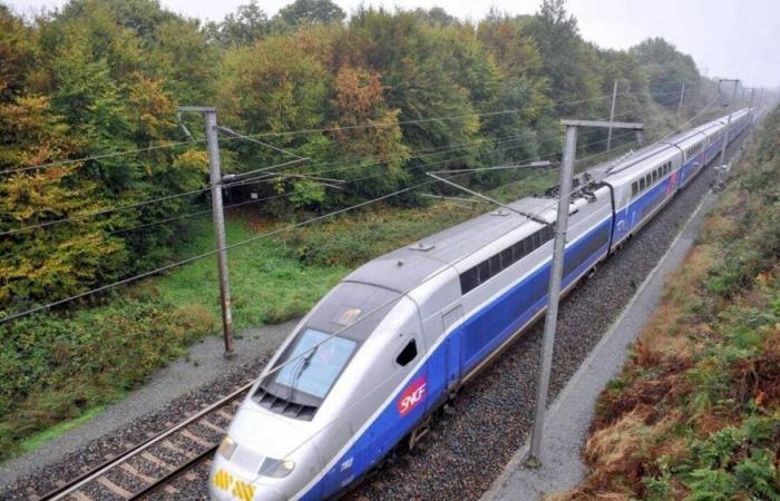 In der Vendée ist eine Person gestorben, nachdem sie von einem Zug erfasst wurde