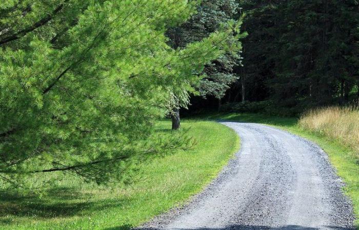 Der Vater wollte seinen 6-jährigen Sohn im Wald zurücklassen: Das Kind klammert sich an das Auto, es wird schwer verletzt