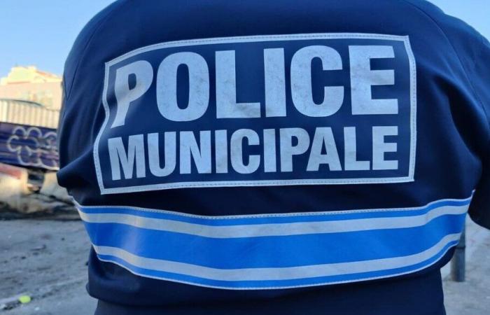 Chambéry: Mit 16 mietete er ein Auto und schlug einen Polizisten nieder