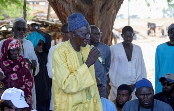 Juan Branco über politische Verbrechen im Senegal und mehr