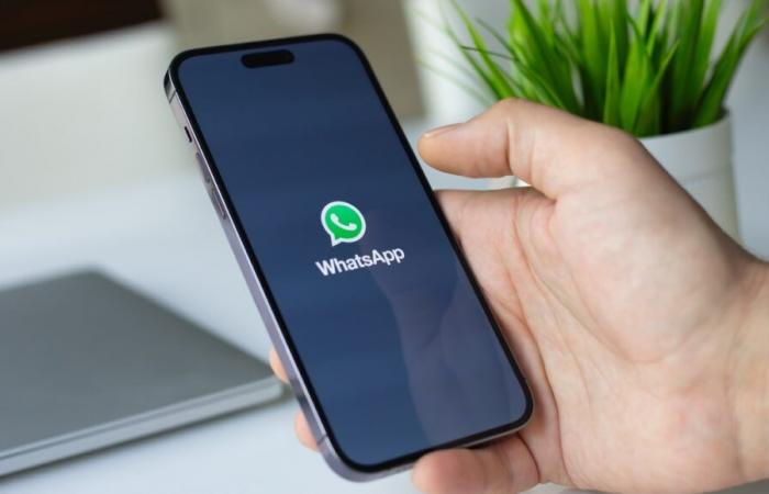 Mit dieser neuen Funktion kämpft WhatsApp gegen Desinformation