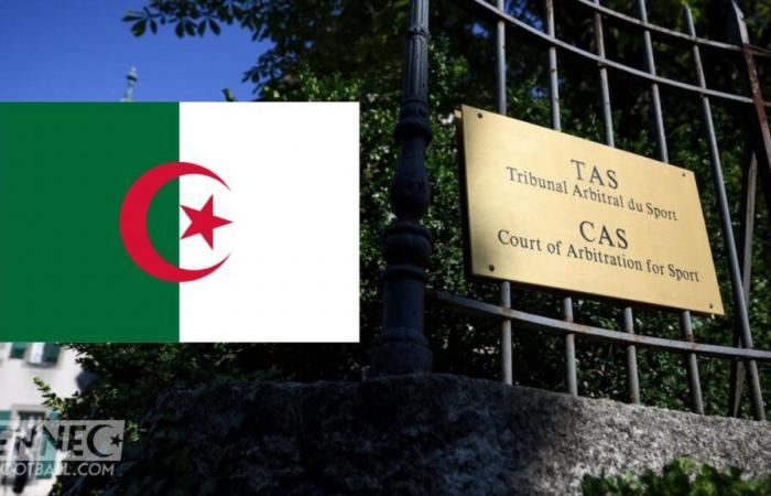 RS Berkane USMA – Algerien: CAS überrascht Marokko